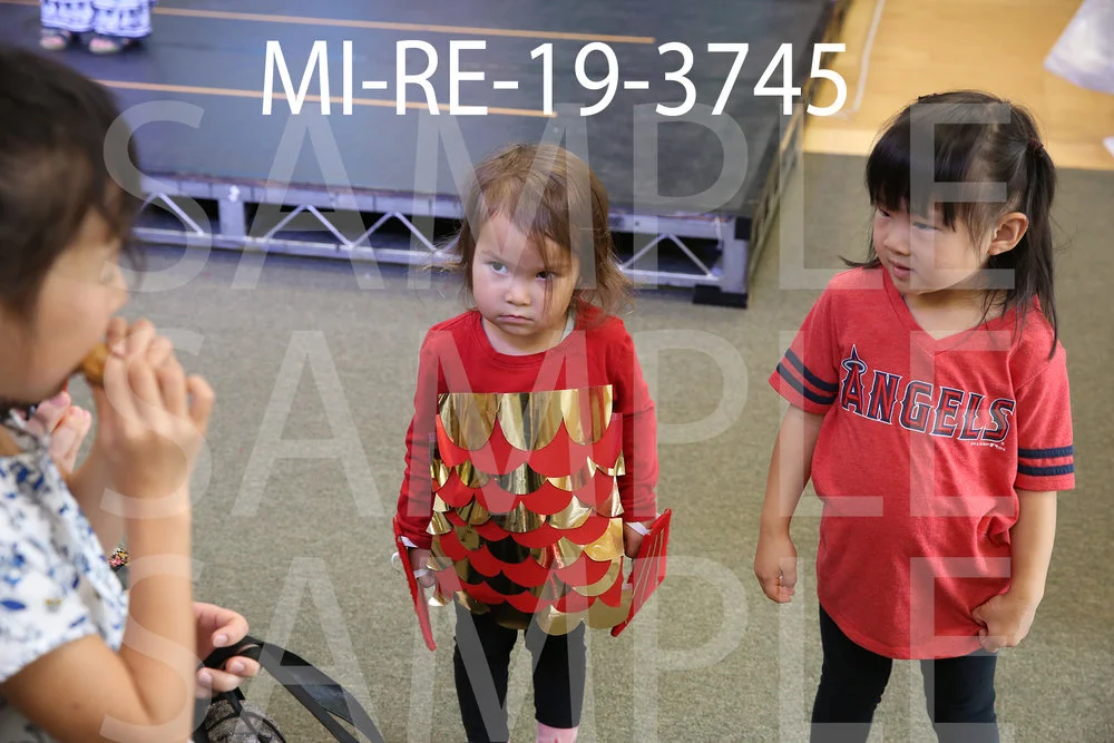 MI-RE-19-3745.jpg