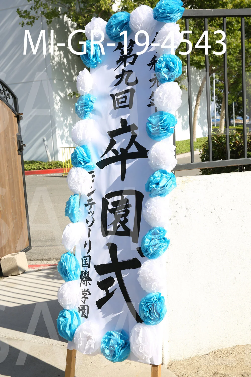 MI-GR-19-4543.jpg