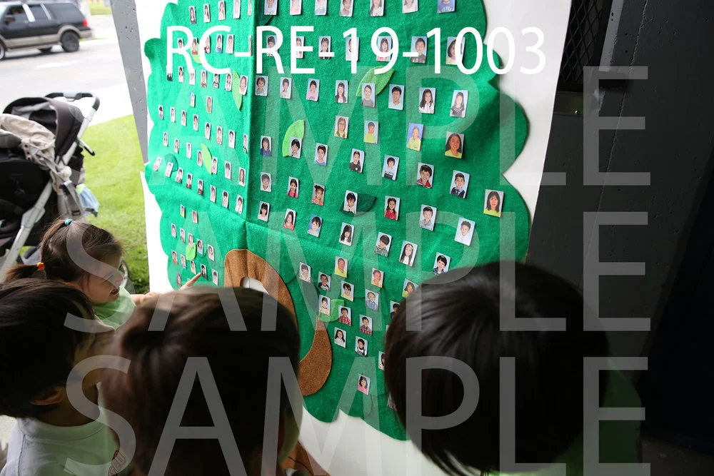 RC-RE-19-1003.jpg