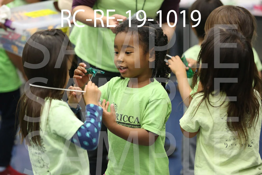 RC-RE-19-1019.jpg