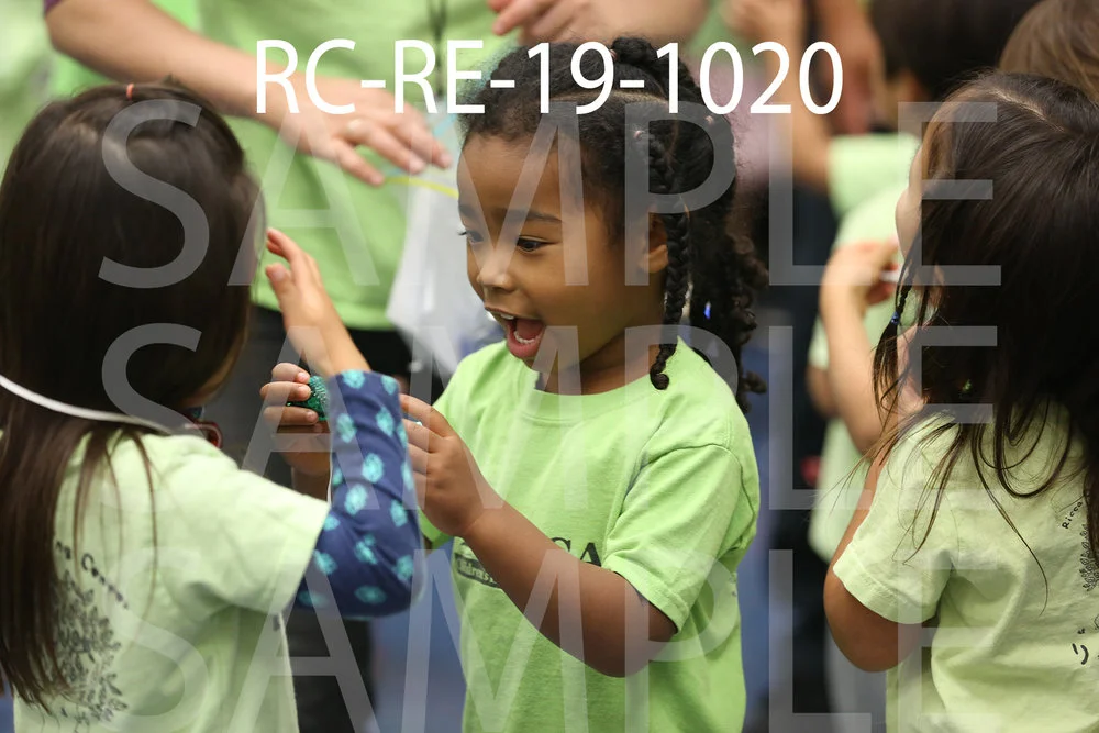 RC-RE-19-1020.jpg