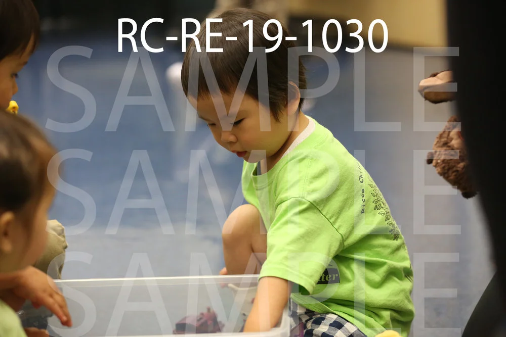 RC-RE-19-1030.jpg