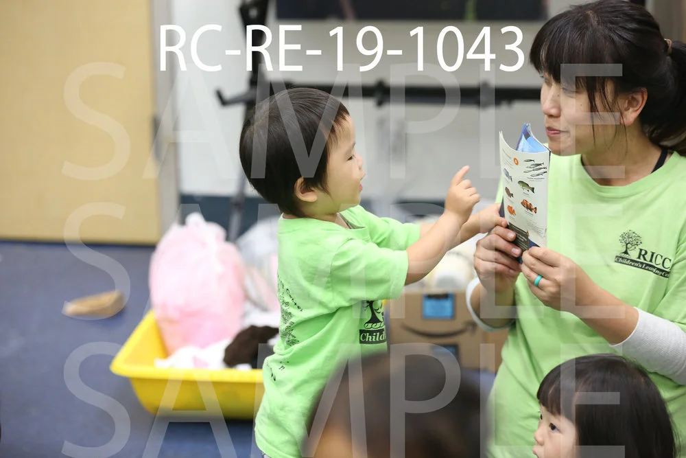 RC-RE-19-1043.jpg