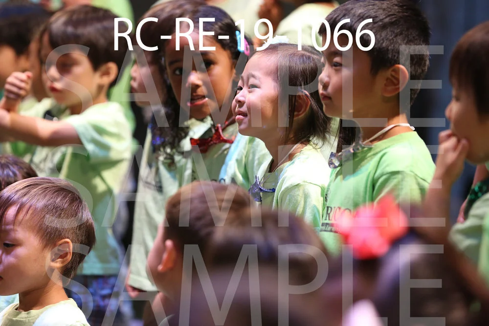 RC-RE-19-1066.jpg