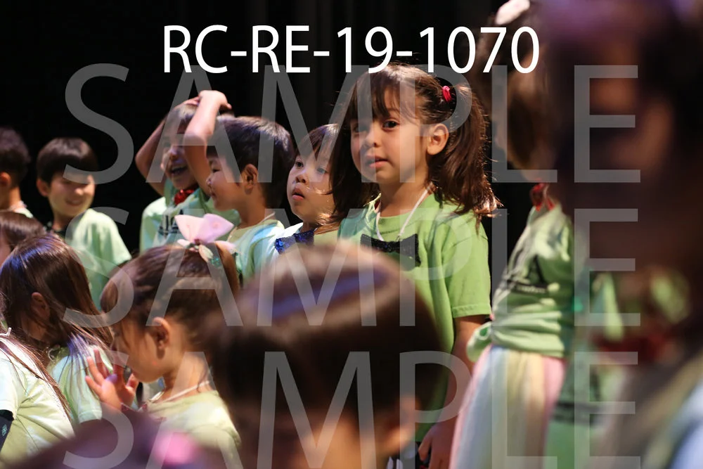 RC-RE-19-1070.jpg