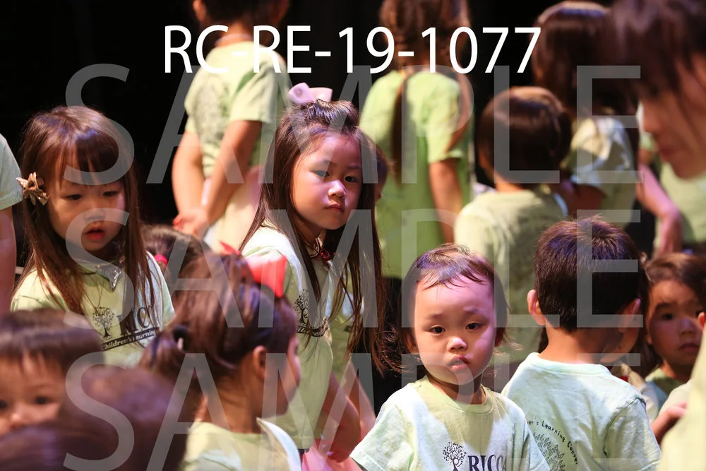 RC-RE-19-1077.jpg