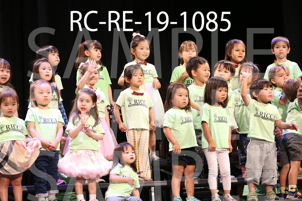 RC-RE-19-1085.jpg