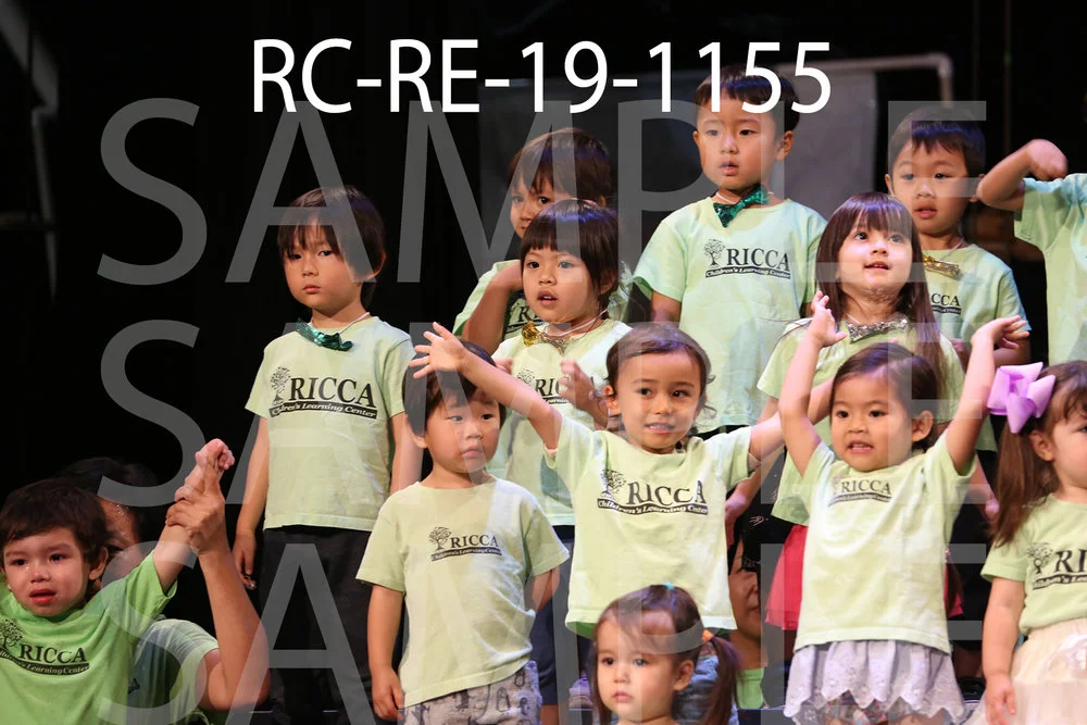 RC-RE-19-1155.jpg