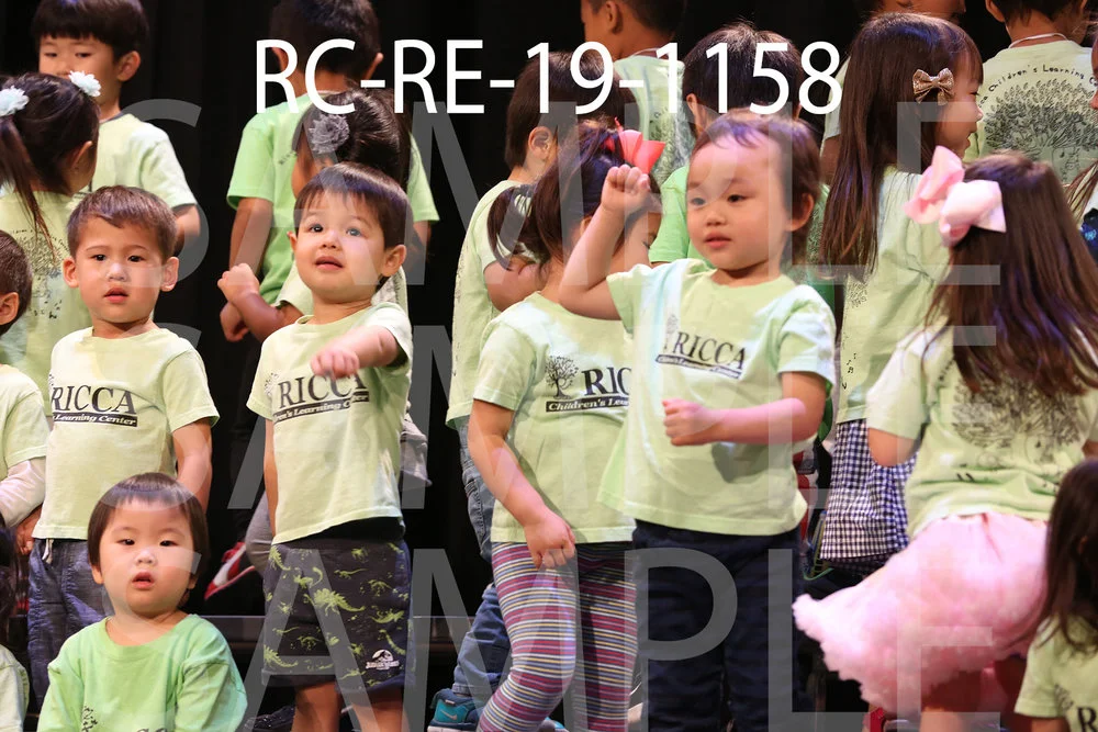 RC-RE-19-1158.jpg