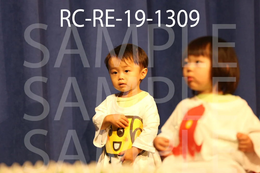 RC-RE-19-1309.jpg