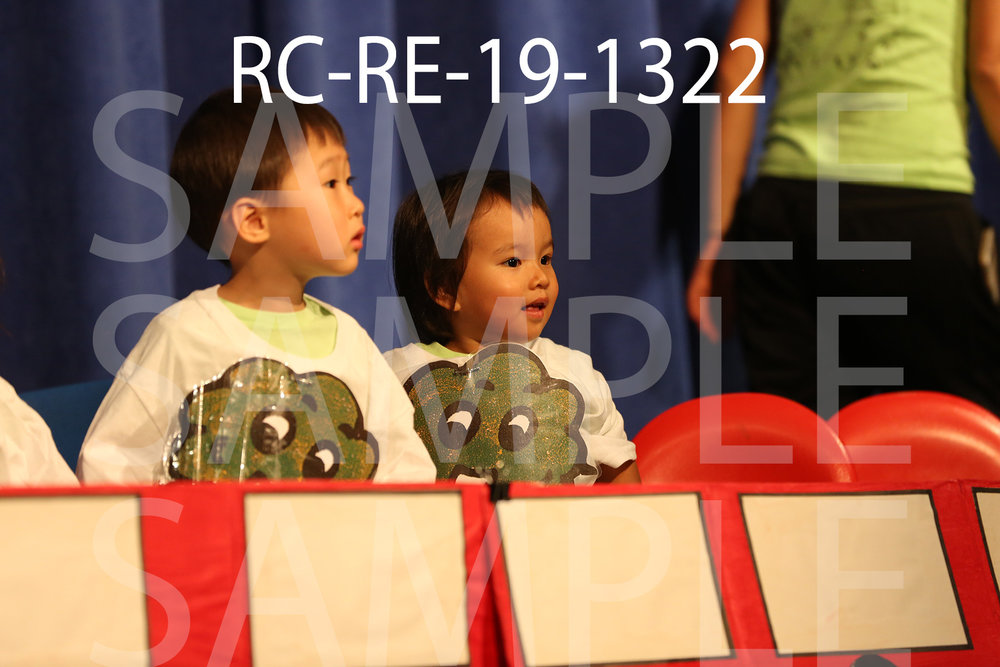 RC-RE-19-1322.jpg