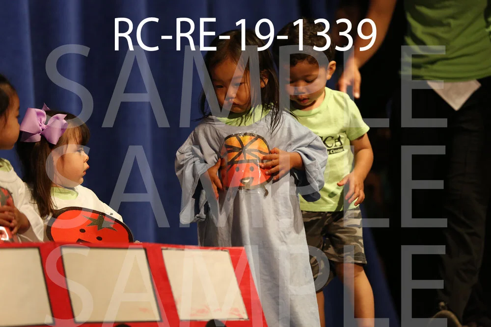 RC-RE-19-1339.jpg