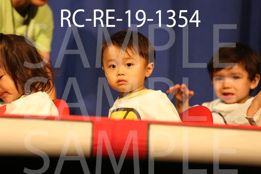 RC-RE-19-1354.jpg