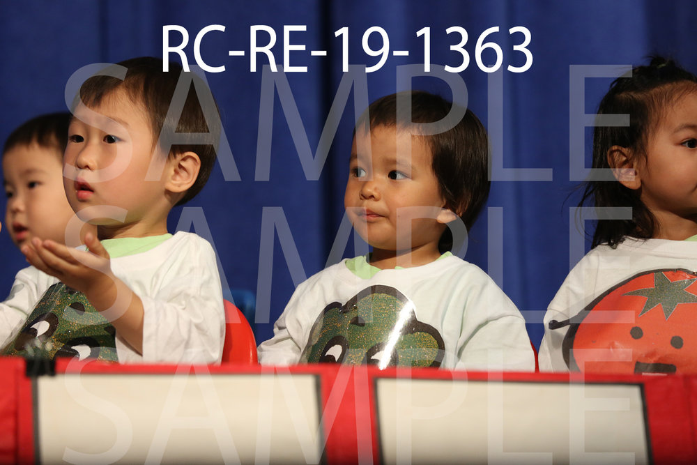 RC-RE-19-1363.jpg