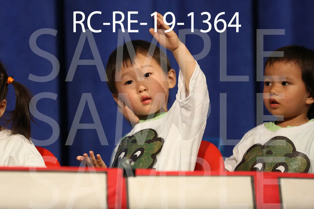 RC-RE-19-1364.jpg