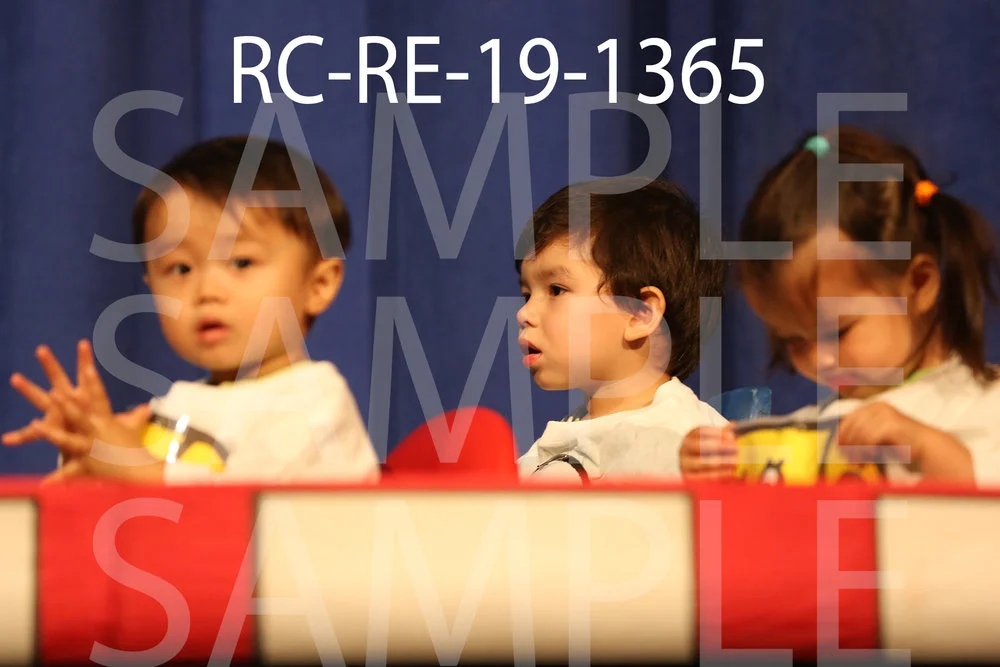 RC-RE-19-1365.jpg