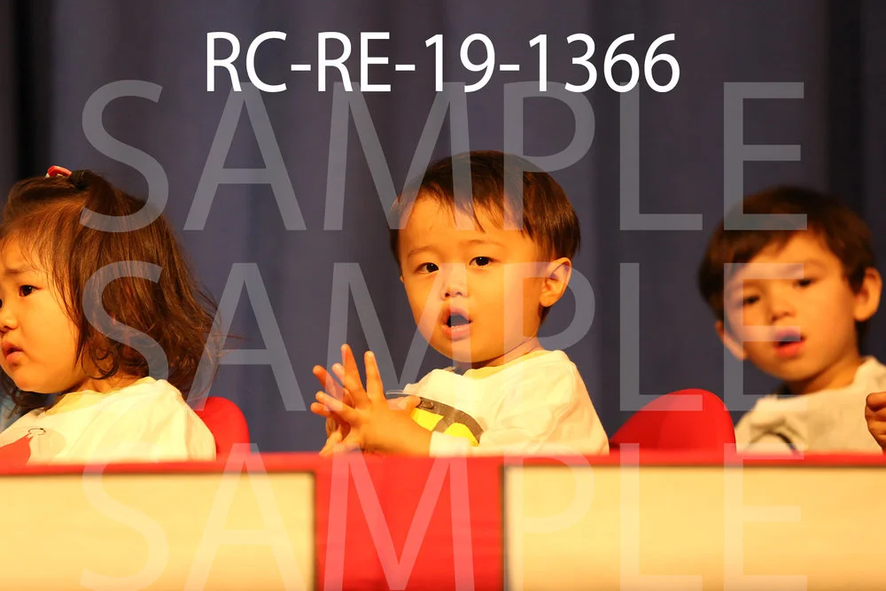 RC-RE-19-1366.jpg