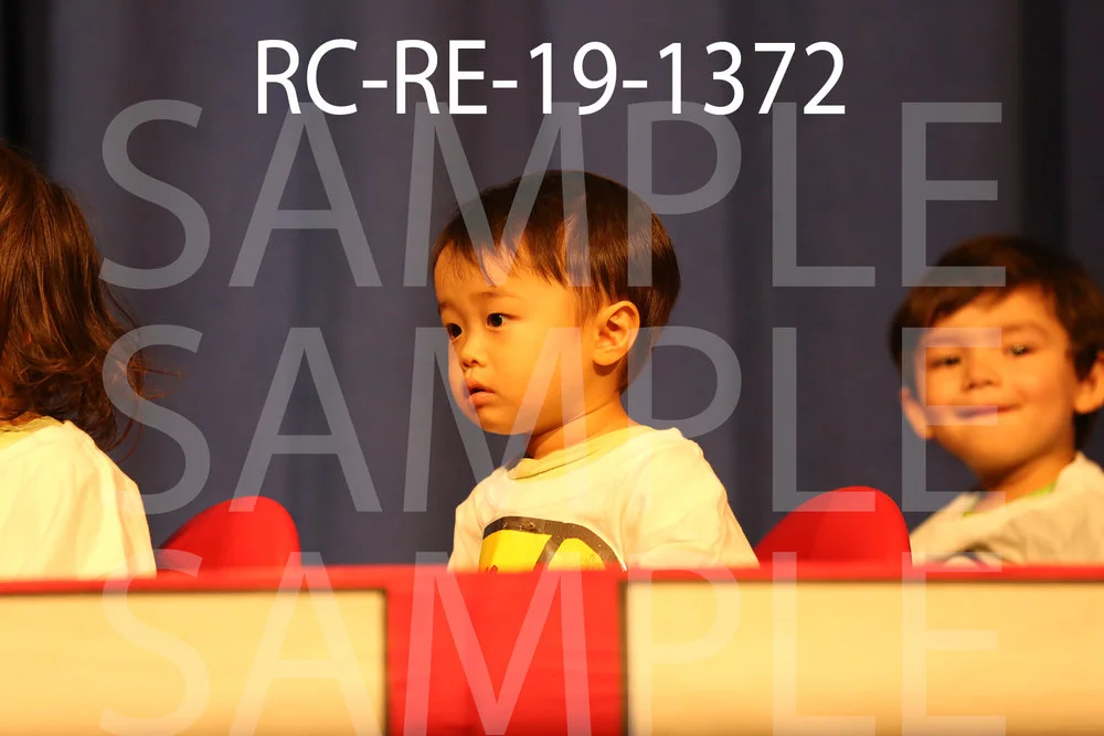 RC-RE-19-1372.jpg