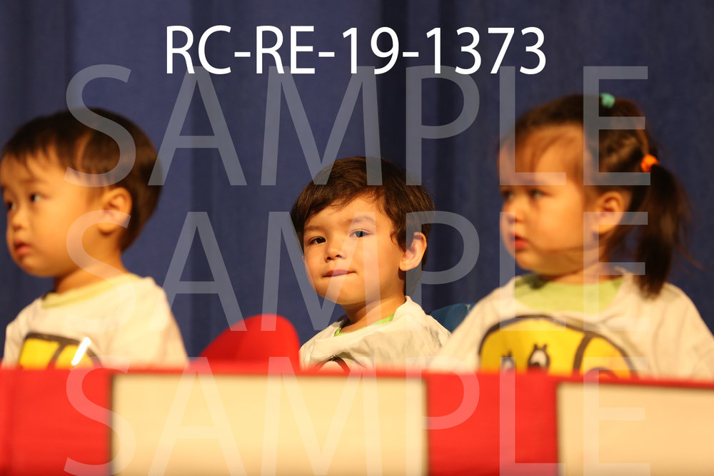 RC-RE-19-1373.jpg