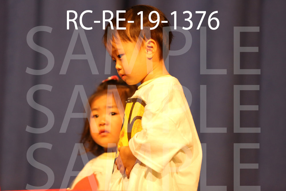 RC-RE-19-1376.jpg