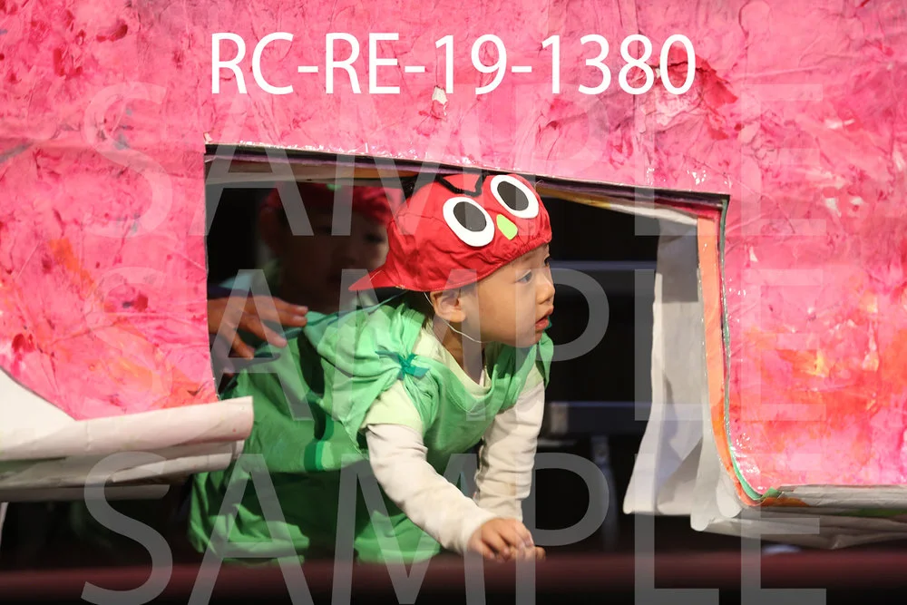 RC-RE-19-1380.jpg