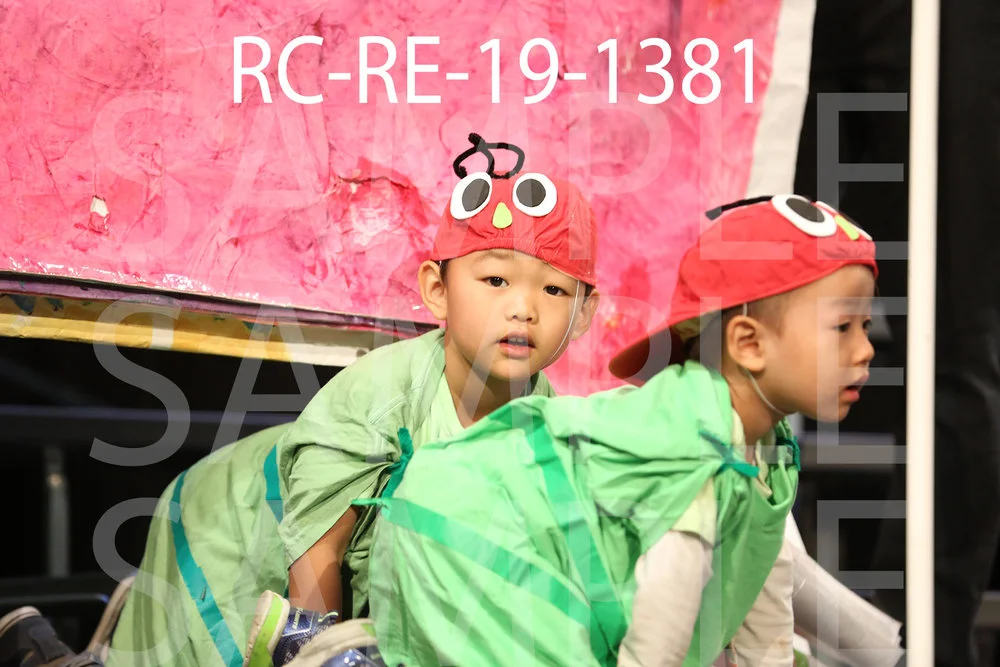 RC-RE-19-1381.jpg