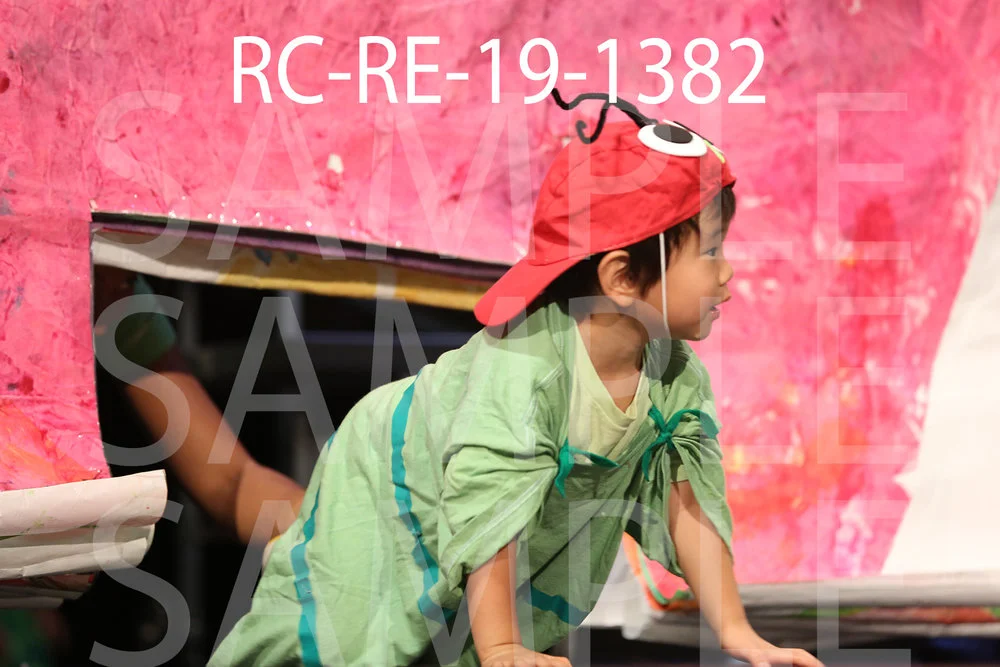 RC-RE-19-1382.jpg