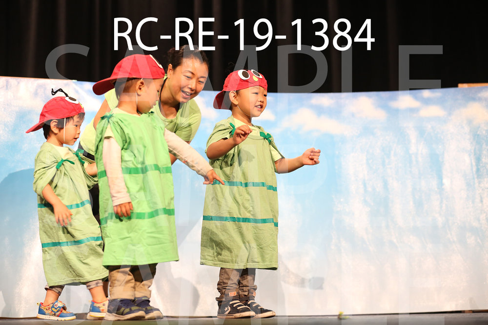 RC-RE-19-1384.jpg