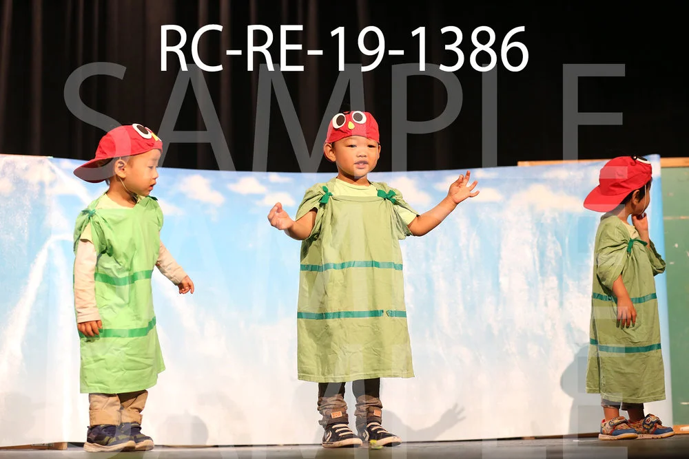 RC-RE-19-1386.jpg