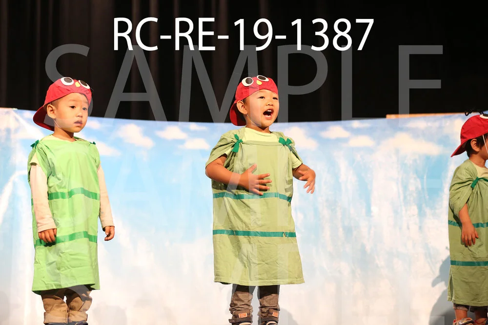 RC-RE-19-1387.jpg