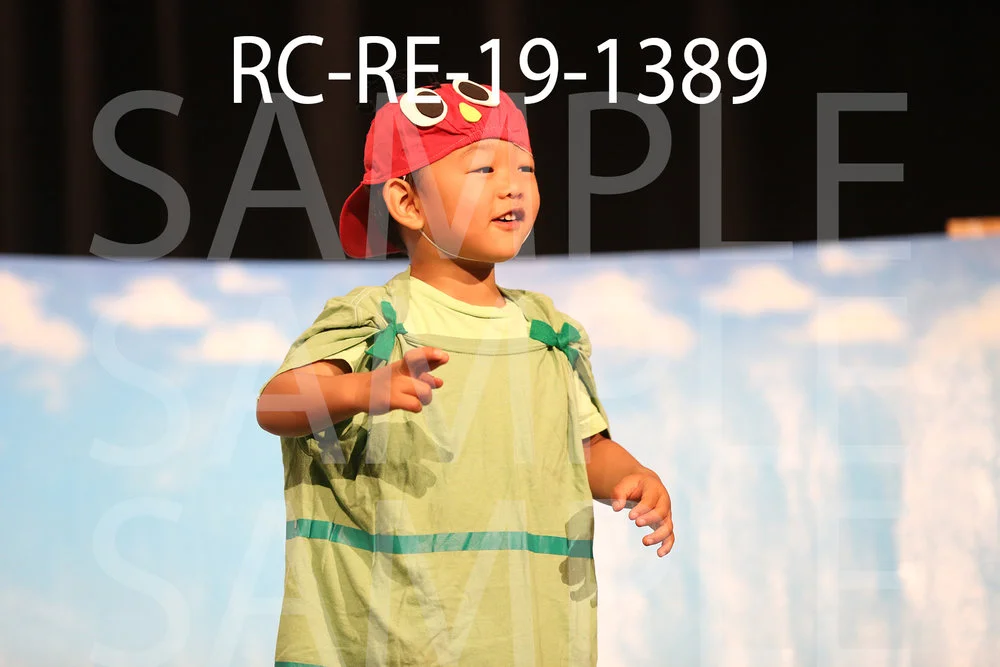 RC-RE-19-1389.jpg