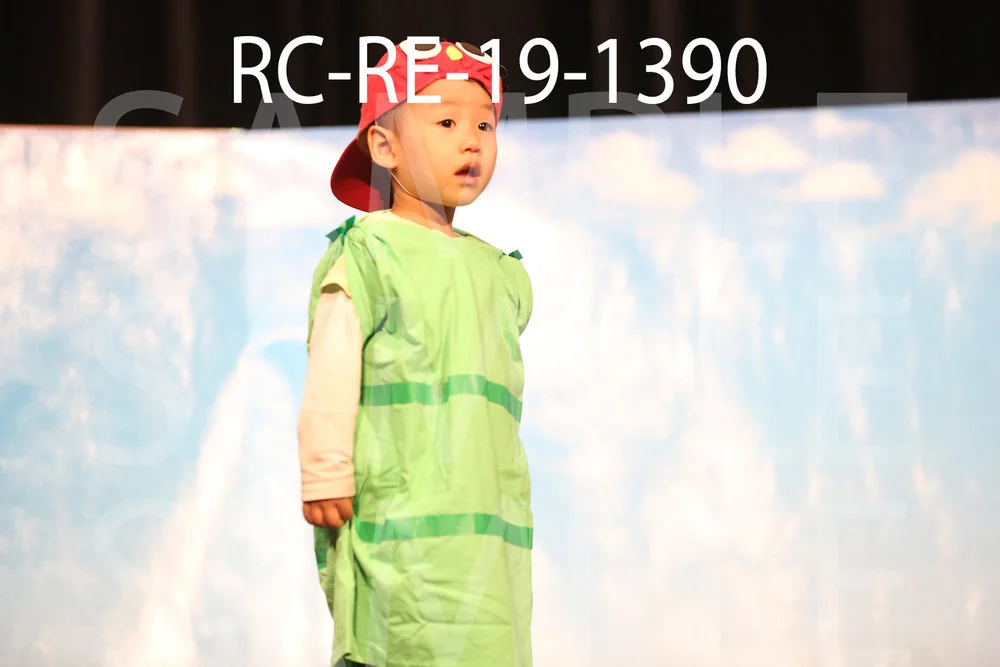 RC-RE-19-1390.jpg