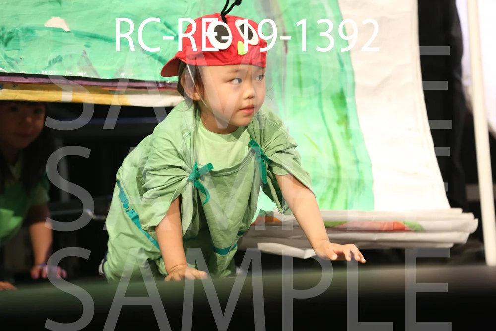 RC-RE-19-1392.jpg