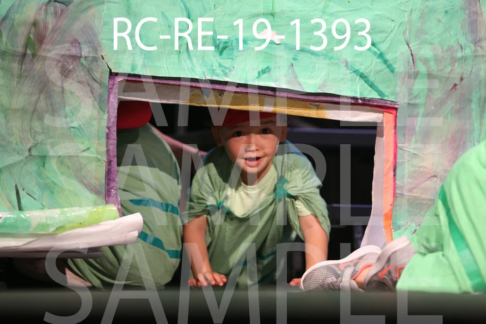 RC-RE-19-1393.jpg