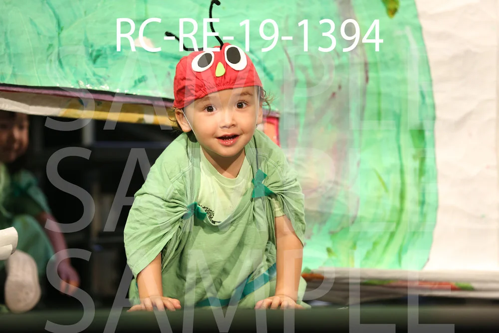 RC-RE-19-1394.jpg