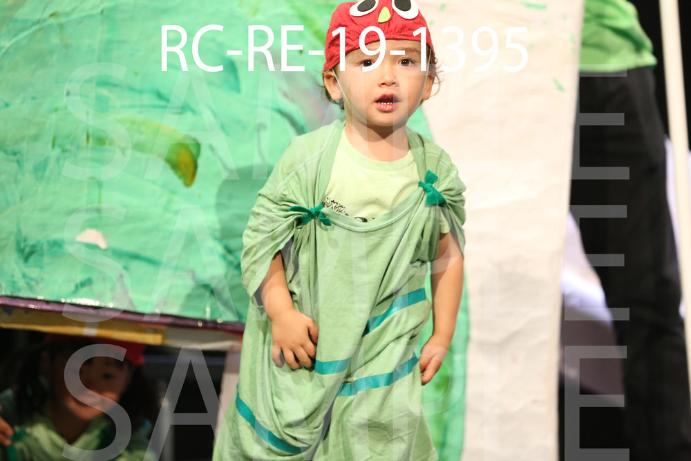 RC-RE-19-1395.jpg