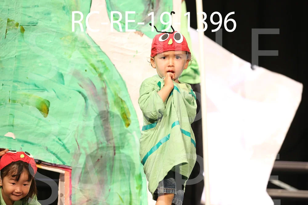 RC-RE-19-1396.jpg