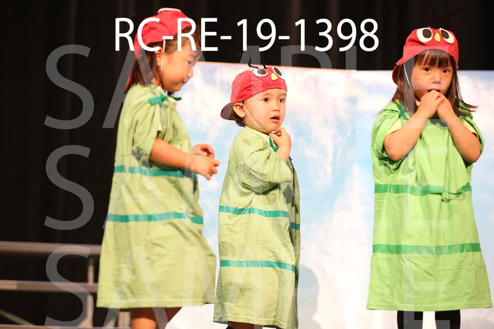 RC-RE-19-1398.jpg