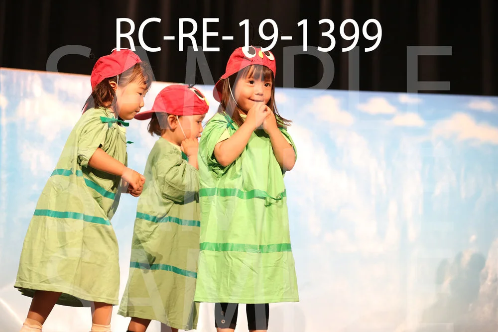 RC-RE-19-1399.jpg
