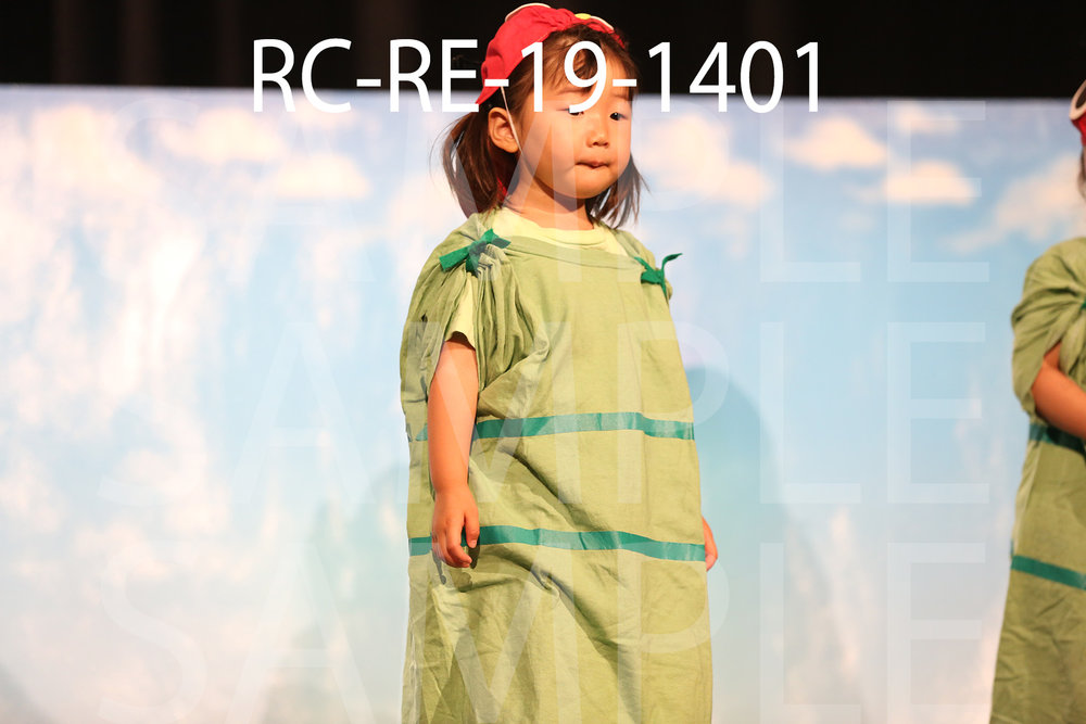 RC-RE-19-1401.jpg