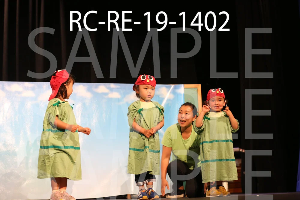 RC-RE-19-1402.jpg