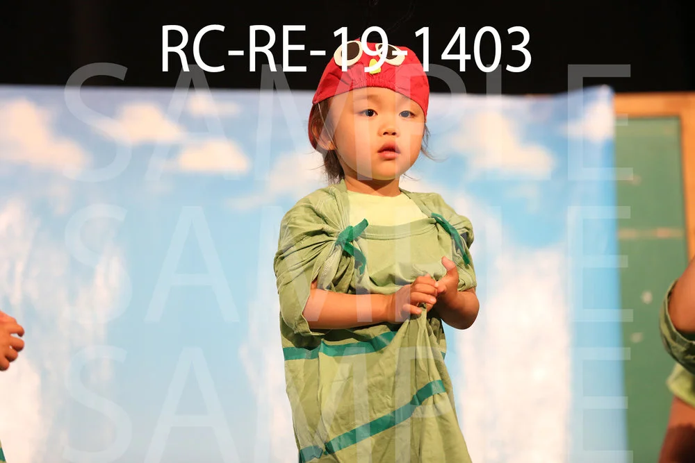 RC-RE-19-1403.jpg
