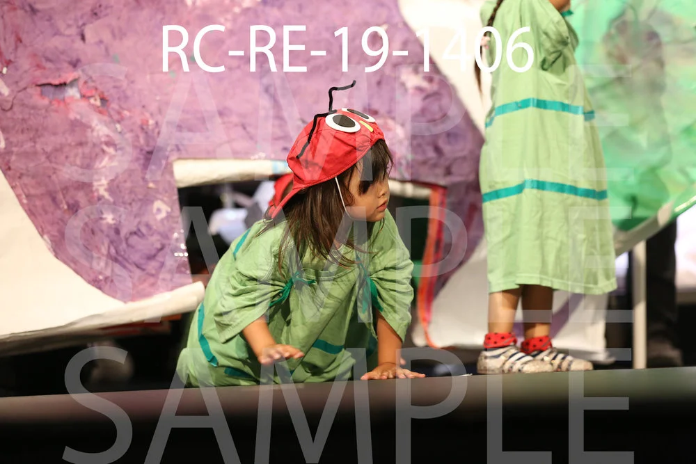 RC-RE-19-1406.jpg