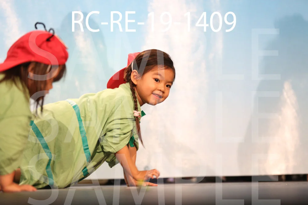 RC-RE-19-1409.jpg