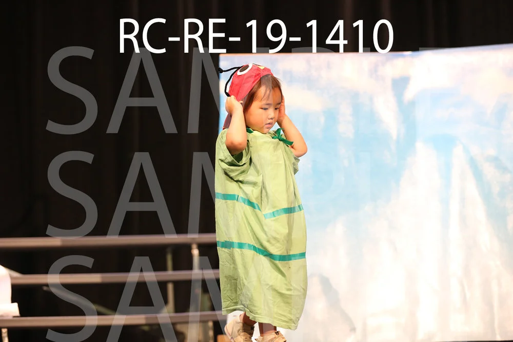 RC-RE-19-1410.jpg