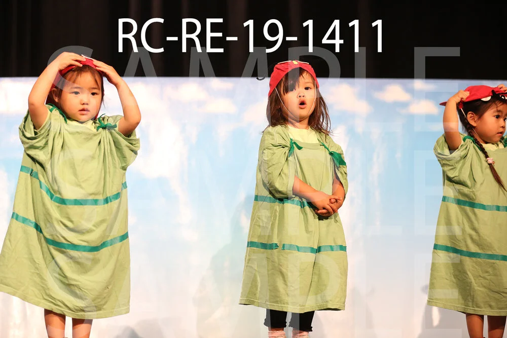 RC-RE-19-1411.jpg