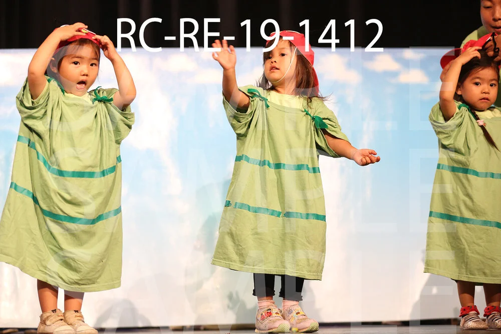RC-RE-19-1412.jpg
