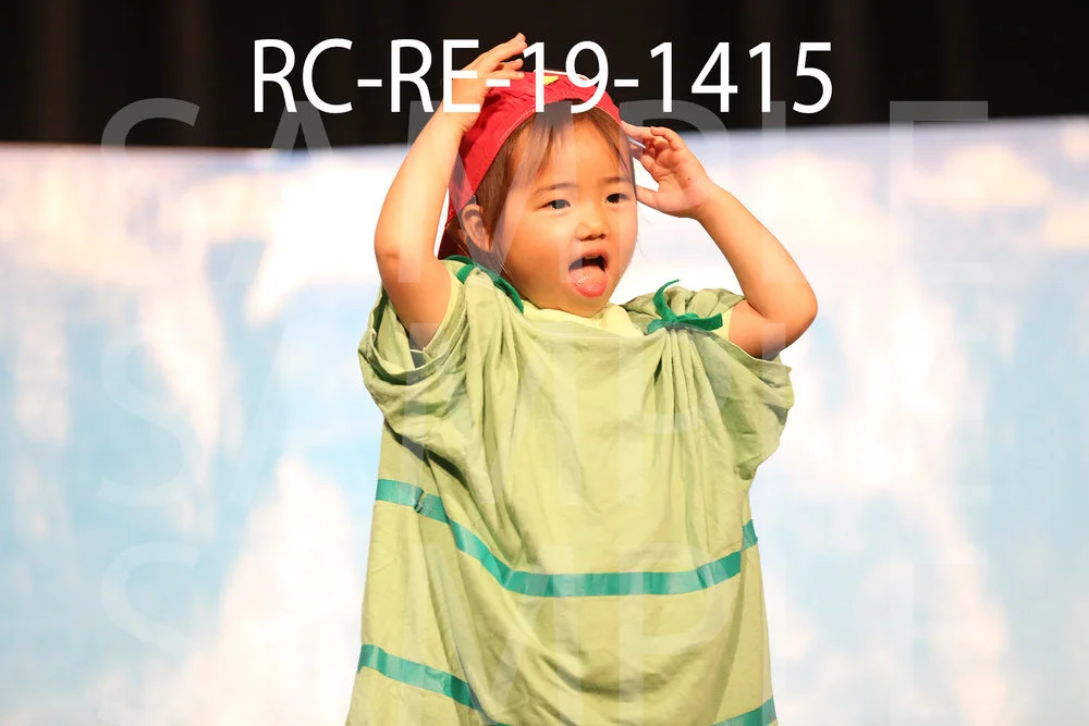 RC-RE-19-1415.jpg