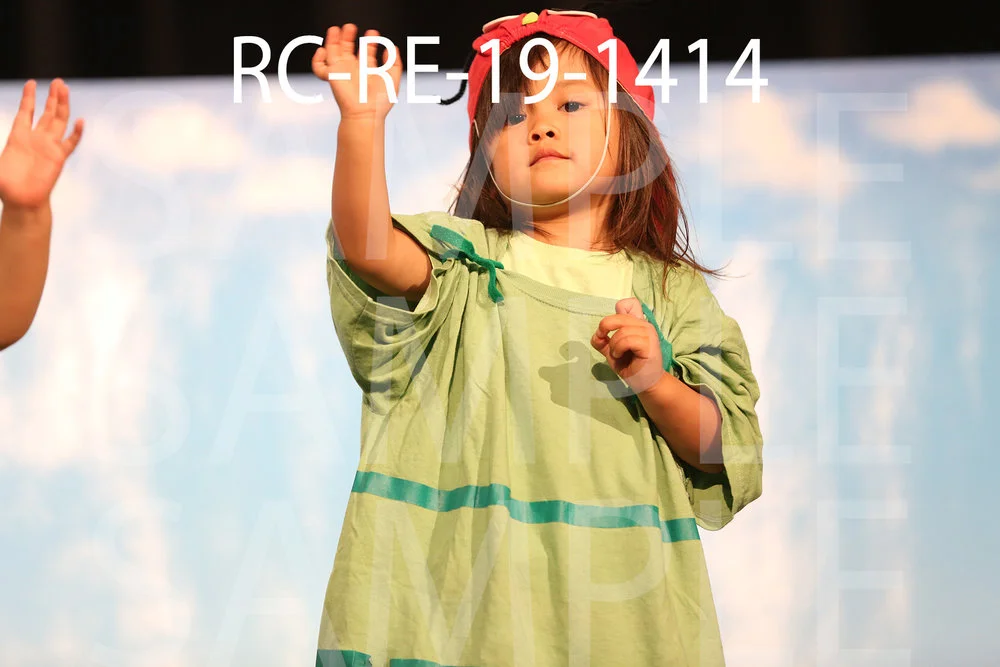 RC-RE-19-1414.jpg