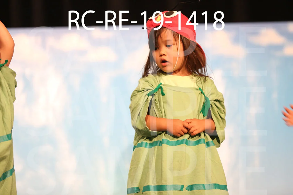 RC-RE-19-1418.jpg
